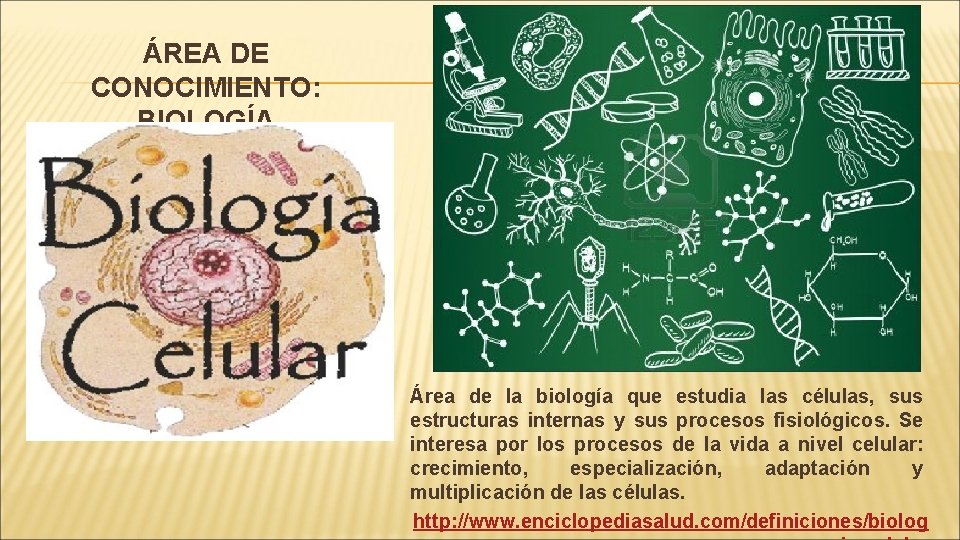 ÁREA DE CONOCIMIENTO: BIOLOGÍA Área de la biología que estudia las células, sus estructuras