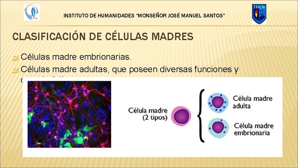 INSTITUTO DE HUMANIDADES “MONSEÑOR JOSÉ MANUEL SANTOS” CLASIFICACIÓN DE CÉLULAS MADRES Células madre embrionarias.