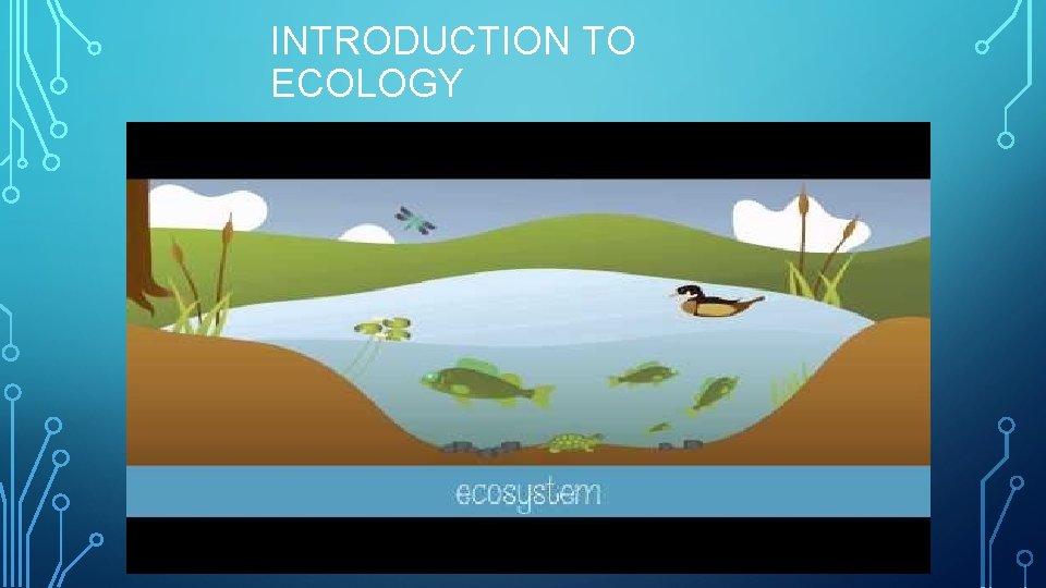 INTRODUCTION TO ECOLOGY 