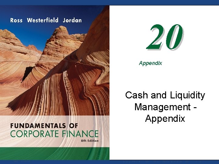 20 Appendix Cash and Liquidity Management Appendix Mc. Graw-Hill/Irwin Copyright © 2008 by The