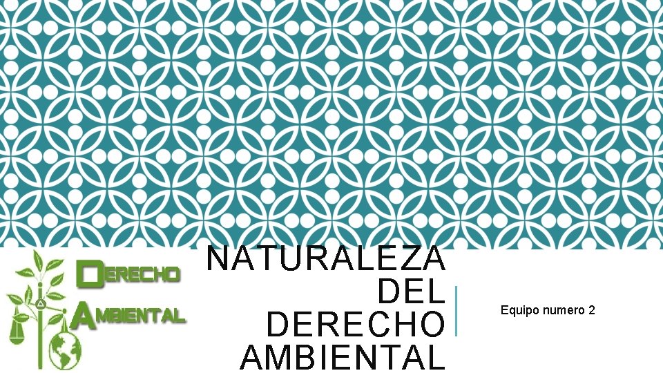 NATURALEZA DEL DERECHO AMBIENTAL Equipo numero 2 