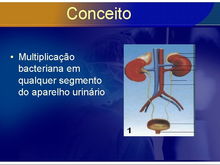 Conceito • Multiplicação bacteriana em qualquer segmento do aparelho urinário 