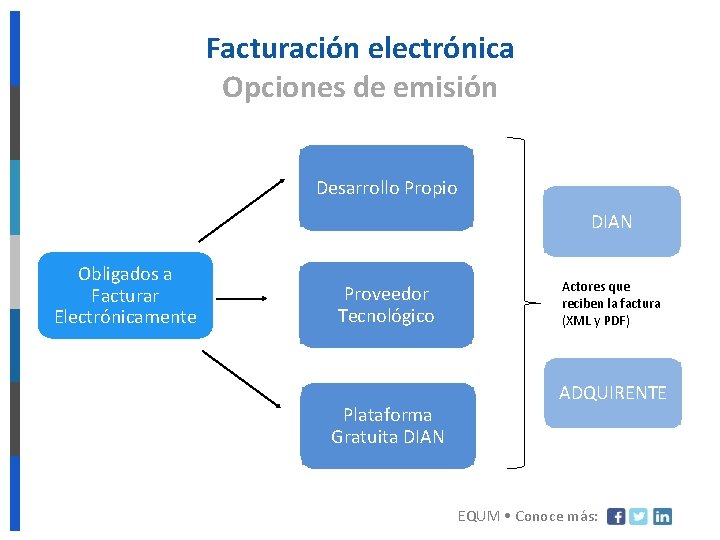 Facturación electrónica Opciones de emisión Desarrollo Propio DIAN Obligados a Facturar Electrónicamente Proveedor Tecnológico