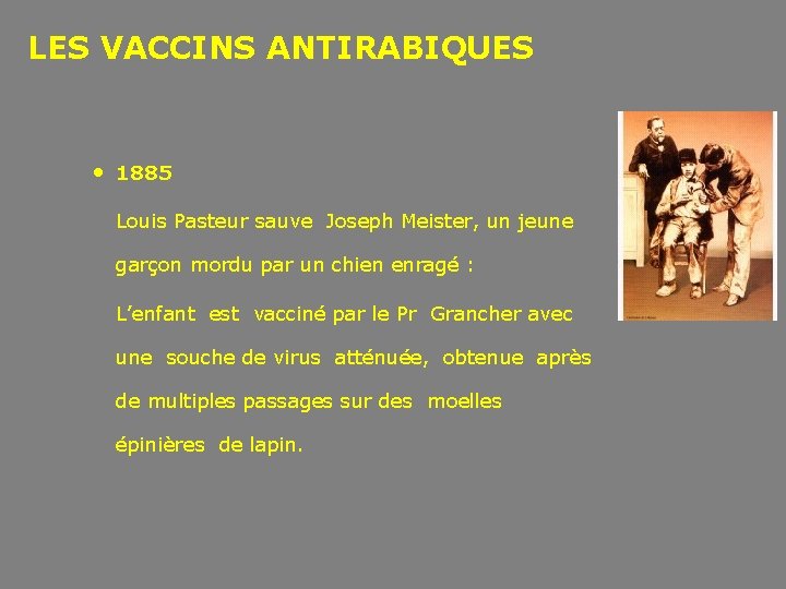 LES VACCINS ANTIRABIQUES • 1885 Louis Pasteur sauve Joseph Meister, un jeune garçon mordu