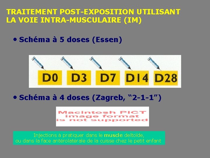 TRAITEMENT POST-EXPOSITION UTILISANT LA VOIE INTRA-MUSCULAIRE (IM) • Schéma à 5 doses (Essen) •