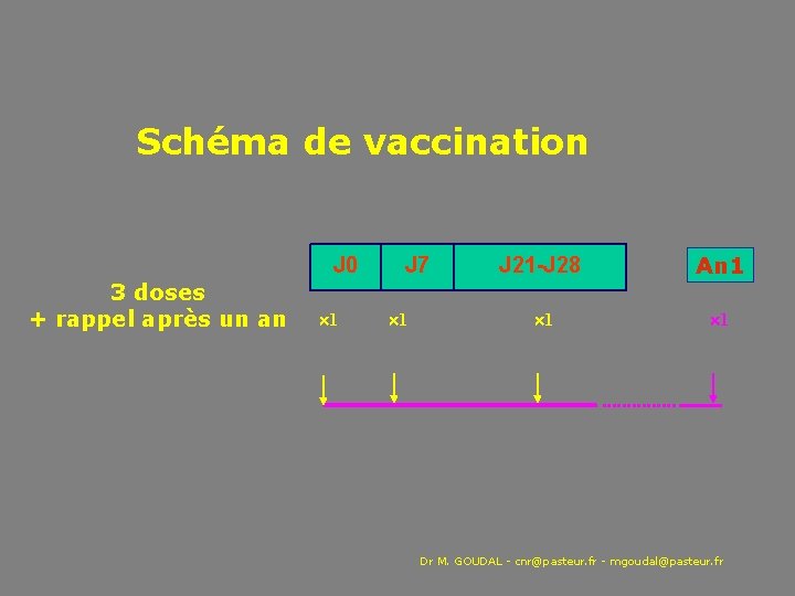 Schéma de vaccination J 0 3 doses + rappel après un an 1 J