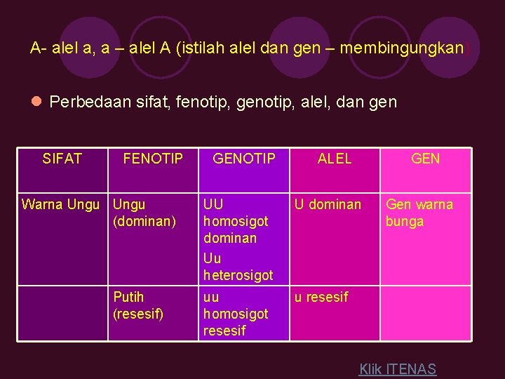 A- alel a, a – alel A (istilah alel dan gen – membingungkan) l