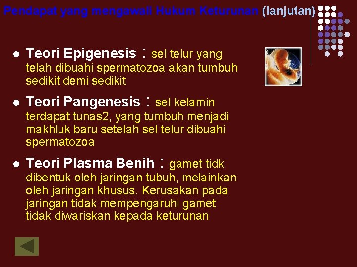 Pendapat yang mengawali Hukum Keturunan (lanjutan) l Teori Epigenesis : sel telur yang telah