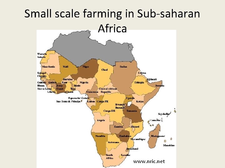 Small scale farming in Sub-saharan Africa www. nric. net 