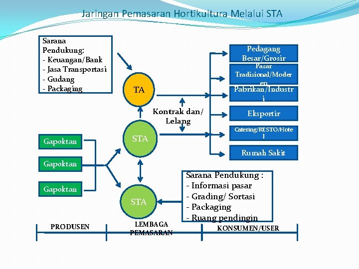 Jaringan Pemasaran Hortikultura Melalui STA Sarana Pendukung: - Keuangan/Bank - Jasa Transportasi - Gudang