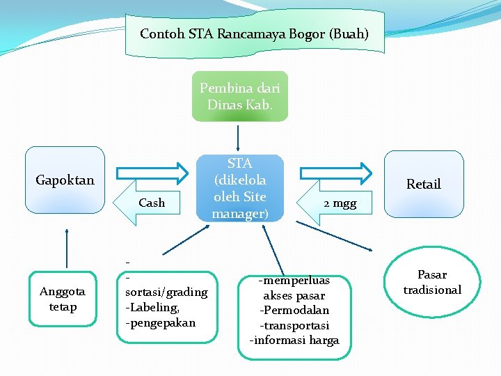 Contoh STA Rancamaya Bogor (Buah) Pembina dari Dinas Kab. Gapoktan Cash Anggota tetap sortasi/grading