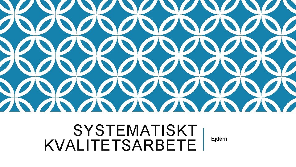 SYSTEMATISKT KVALITETSARBETE Ejdern 