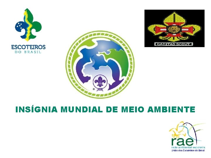 Logotipo da Região ou do Grupo Escoteiro INSÍGNIA MUNDIAL DE MEIO AMBIENTE 