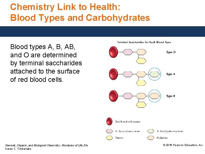 Chemistry Link to Health: Blood Types and Carbohydrates Blood types A, B, AB, and Chemistry Link to Health: Blood Types and Carbohydrates Blood types A, B, AB, and