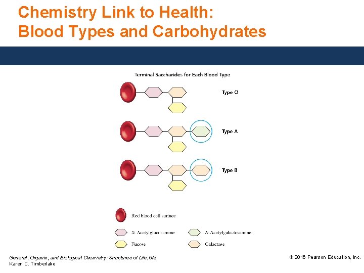 Chemistry Link to Health: Blood Types and Carbohydrates General, Organic, and Biological Chemistry: Structures Chemistry Link to Health: Blood Types and Carbohydrates General, Organic, and Biological Chemistry: Structures