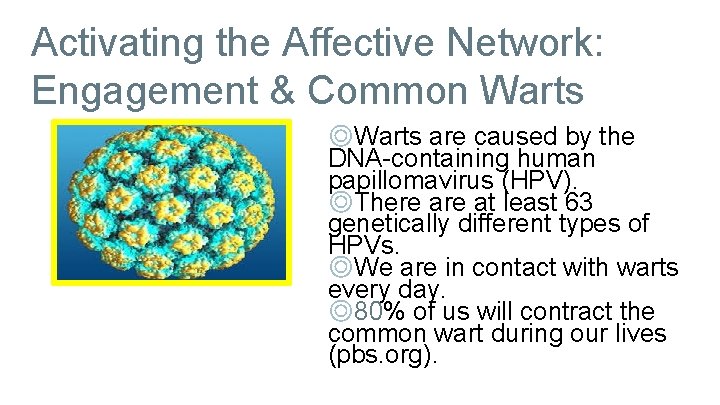 Activating the Affective Network: Engagement & Common Warts ◎Warts are caused by the DNA-containing