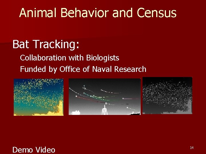 Animal Behavior and Census Bat Tracking: Collaboration with Biologists Funded by Office of Naval