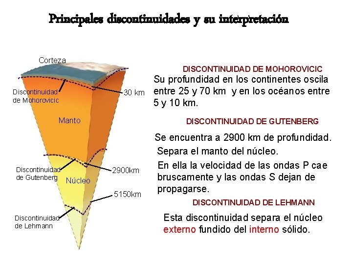 Principales discontinuidades y su interpretación Corteza Discontinuidad de Mohorovicic DISCONTINUIDAD DE MOHOROVICIC 30 km