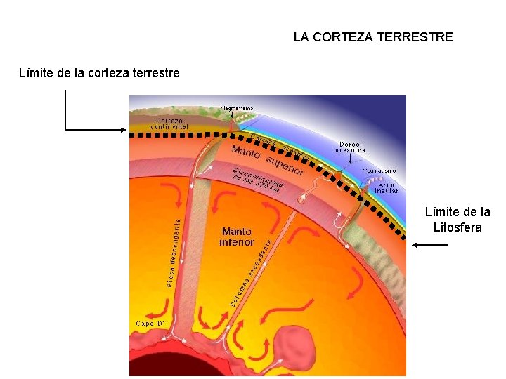 LA CORTEZA TERRESTRE Límite de la corteza terrestre Límite de la Litosfera 