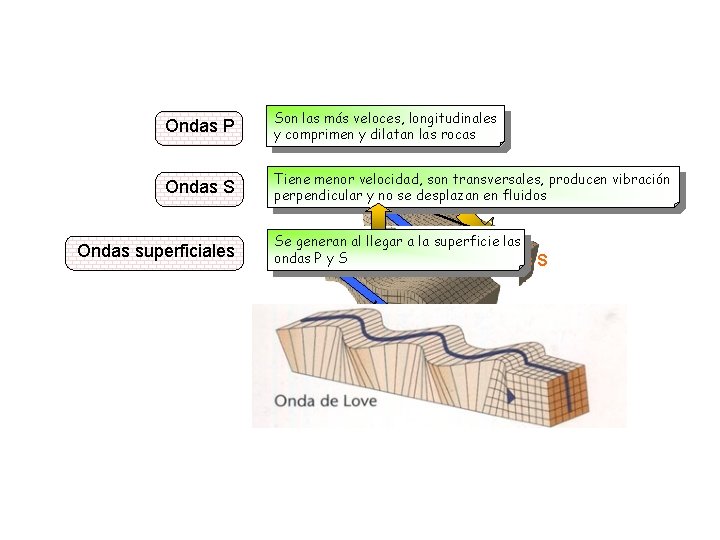 Ondas P Ondas S Ondas superficiales Son las más veloces, longitudinales y comprimen y