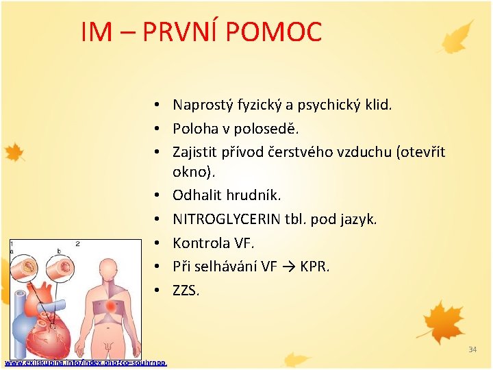 IM – PRVNÍ POMOC • Naprostý fyzický a psychický klid. • Poloha v polosedě.