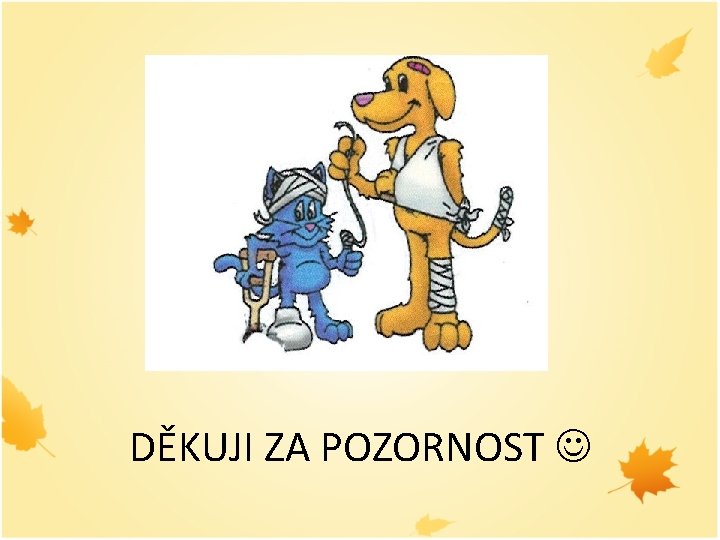 DĚKUJI ZA POZORNOST 