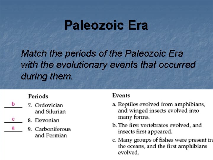 Paleozoic Era Match the periods of the Paleozoic Era with the evolutionary events that