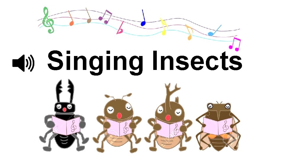 Singing Insects 