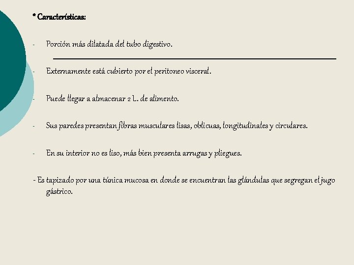 * Características: - Porción más dilatada del tubo digestivo. - Externamente está cubierto por