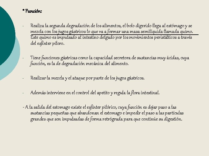 * Función: - Realiza la segunda degradación de los alimentos, el bolo digerido llega