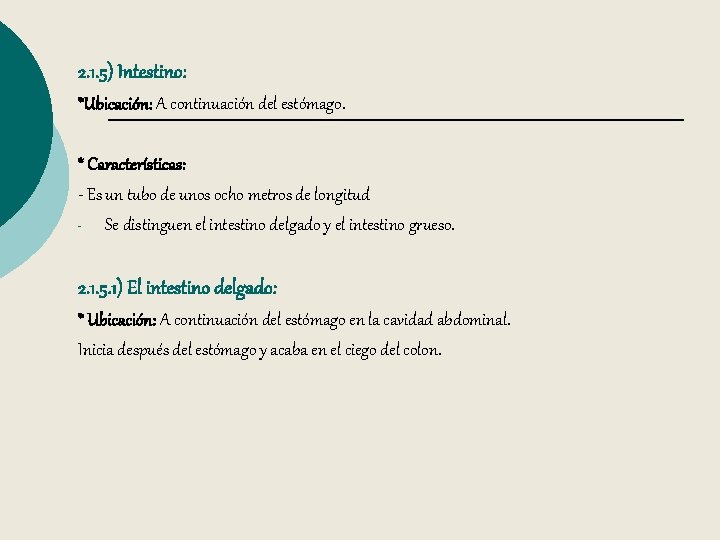 2. 1. 5) Intestino: *Ubicación: A continuación del estómago. * Características: - Es un