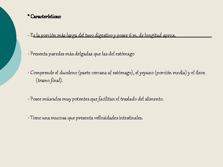 * Características: - Es la porción más larga del tuvo digestivo y posee 6