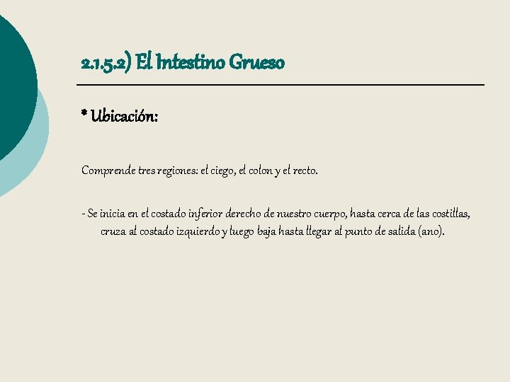 2. 1. 5. 2) El Intestino Grueso * Ubicación: Comprende tres regiones: el ciego,