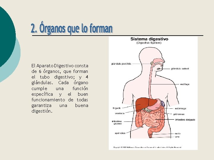 El Aparato Digestivo consta de 6 órganos, que forman el tubo digestivo; y 4