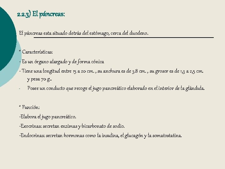 2. 2. 3) El páncreas: El páncreas esta situado detrás del estómago, cerca del