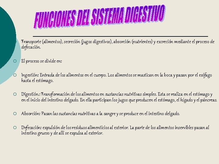 ¡ Transporte (alimentos), secreción (jugos digestivos), absorción (nutrientes) y excreción mediante el proceso de