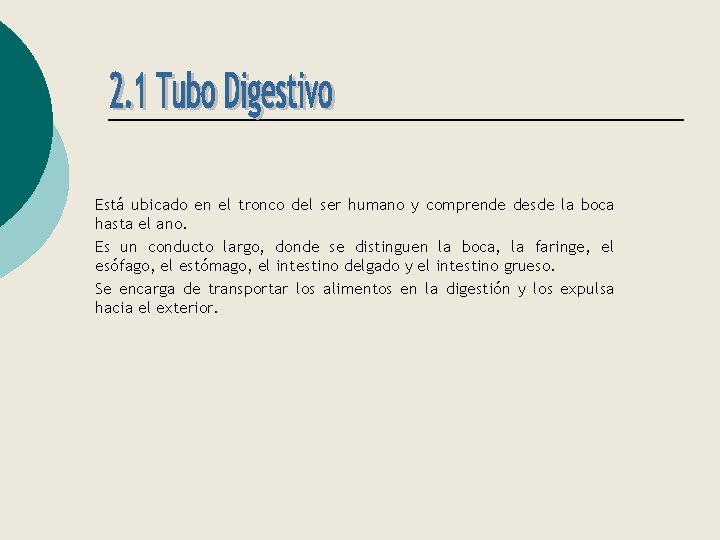 Está ubicado en el tronco del ser humano y comprende desde la boca hasta