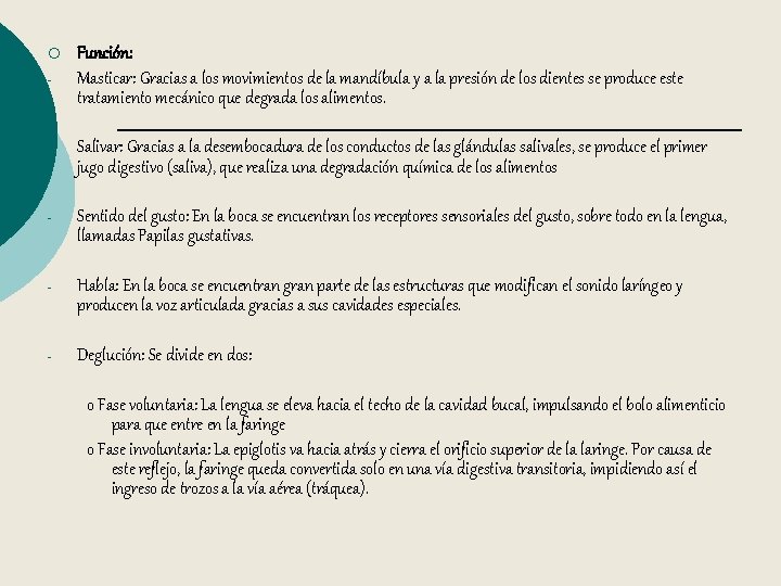 ¡ - Función: Masticar: Gracias a los movimientos de la mandíbula y a la