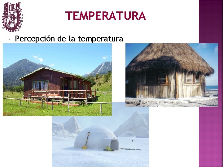 TEMPERATURA Percepción de la temperatura 