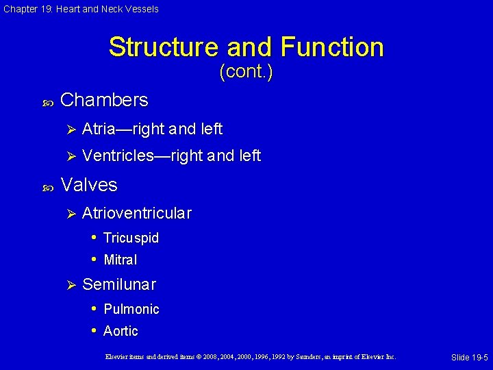 Chapter 19: Heart and Neck Vessels Structure and Function (cont. ) Chambers Ø Atria—right Chapter 19: Heart and Neck Vessels Structure and Function (cont. ) Chambers Ø Atria—right