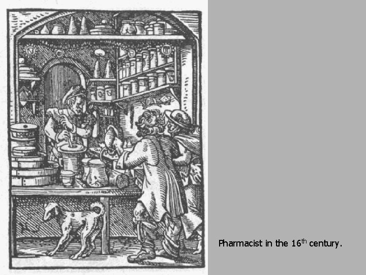 Pharmacist in the 16 th century. 