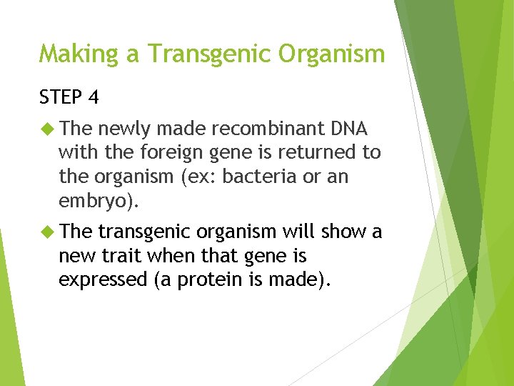 Making a Transgenic Organism STEP 4 The newly made recombinant DNA with the foreign