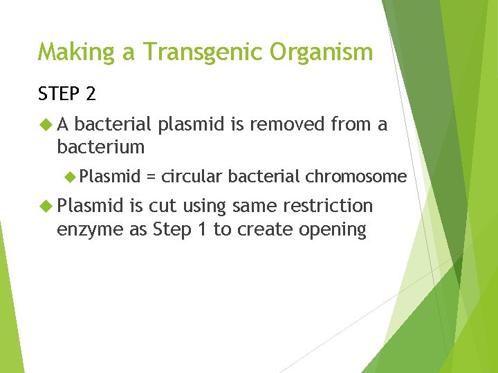 Making a Transgenic Organism STEP 2 A bacterial plasmid is removed from a bacterium