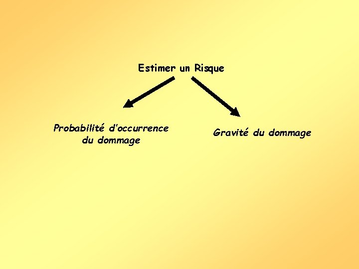 Estimer un Risque Probabilité d’occurrence du dommage Gravité du dommage 