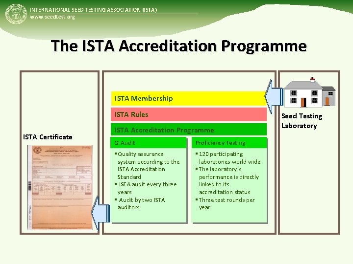 INTERNATIONAL SEED TESTING ASSOCIATION (ISTA) www. seedtest. org The ISTA Accreditation Programme ISTA Membership