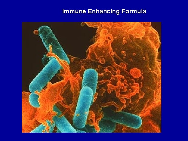 Immune Enhancing Formula 