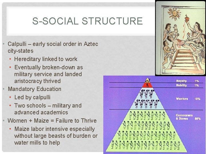 S-SOCIAL STRUCTURE • Calpulli – early social order in Aztec city-states • Hereditary linked