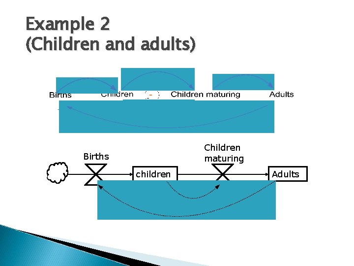 Example 2 (Children and adults) + Children maturing Births children Adults 
