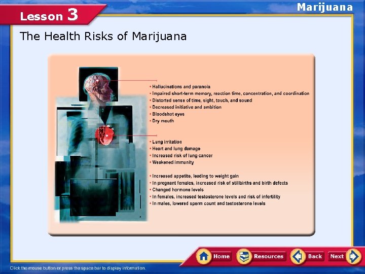 Lesson 3 The Health Risks of Marijuana 