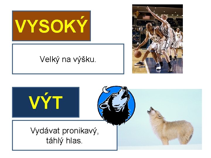 VYSOKÝ Velký na výšku. VÝT Vydávat pronikavý, táhlý hlas. 